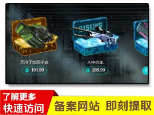 91skins