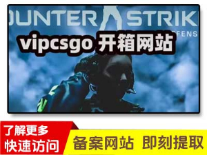 VIPCSGO-CSGO开箱网站良心高爆率的CSGO皮肤饰品交易平台