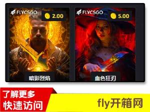 flycsgo开箱网怎么样，福利待遇