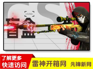 雷神lscsgo开箱网先锋新网