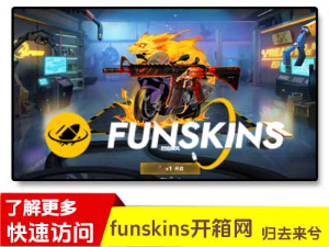 funskins开箱网站