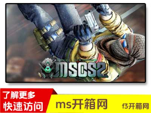 mscs2开箱网